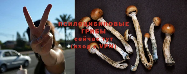 дживик Богданович