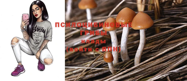 дживик Богданович
