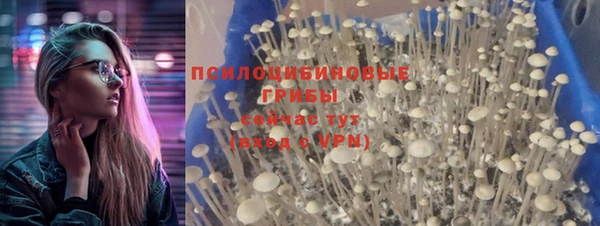 дмт Богородск