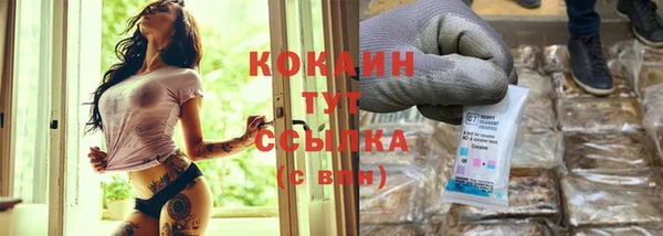 дживик Богданович
