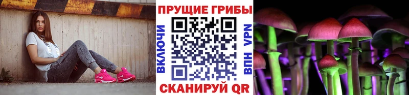 Псилоцибиновые грибы Psilocybe Кущёвская