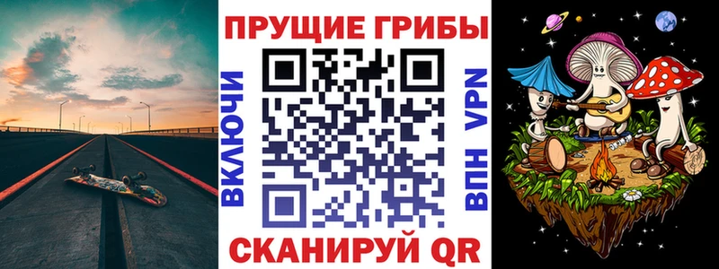 купить  цена  Кущёвская  Псилоцибиновые грибы Cubensis 